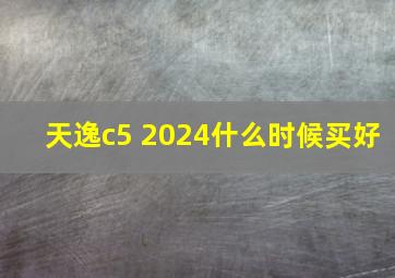 天逸c5 2024什么时候买好